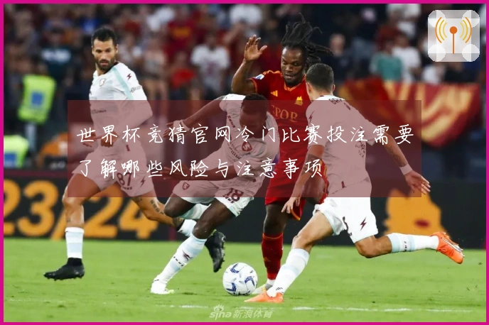 世界杯竞猜官网冷门比赛投注需要了解哪些风险与注意事项