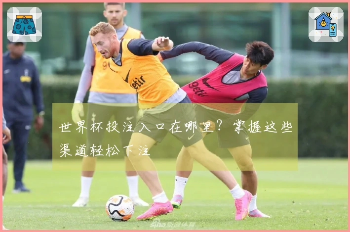 世界杯投注入口在哪里？掌握这些渠道轻松下注