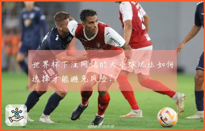 世界杯下注网站的大小球玩法如何选择才能避免风险？