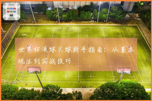 世界杯滚球买球新手指南:从基本玩法到实战技巧