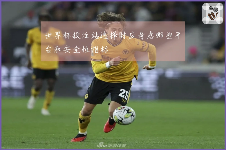 世界杯投注站选择时应考虑哪些平台和安全性指标