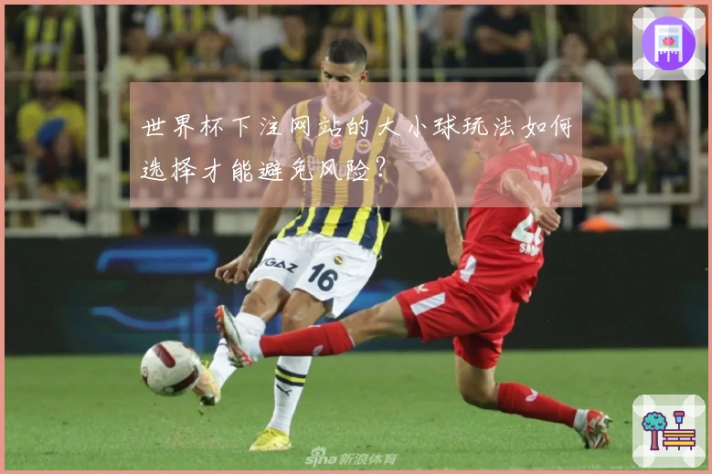 世界杯下注网站的大小球玩法如何选择才能避免风险？